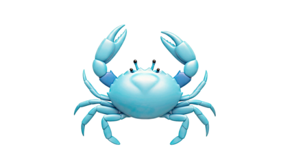 Blue Crab with Raised Claws