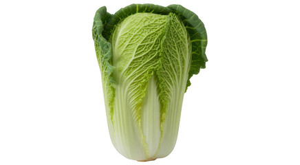 Fresh Green Lettuce Head fresh lettuce vegetable food isolated on a transparent background
