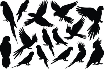 Obraz premium Parrot silhouettes, exotic birds, perched outline, flying pose, wings spread, tropical design, curved beak, long tail, avian shadow, nature art
