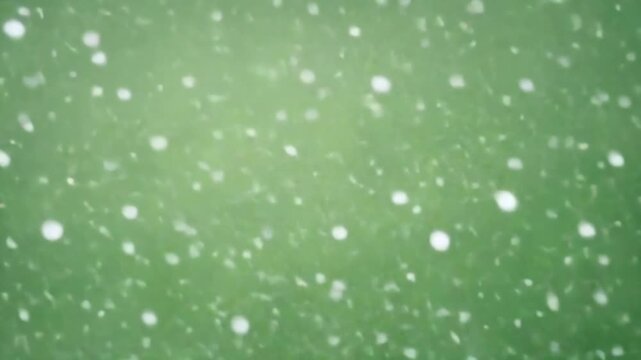 Snowflakes gently fall and accumulate on a green surface, creating a serene winter scene with gradual buildup of white particles, showcasing nature's beauty in motion