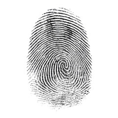 Fingerprint close-up on transparent background
