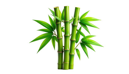 Naklejka premium Bamboo plants with green leaves and thick stems in a natural environment