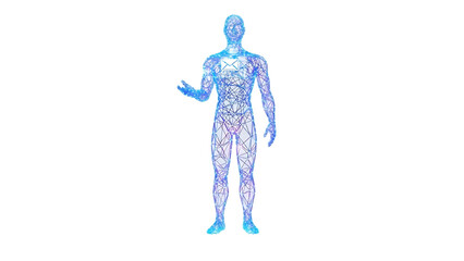 Human body network structure illustration