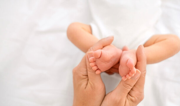 The small feet of a newborn baby , folded in the shape of a heart in the gentle hands of the mother