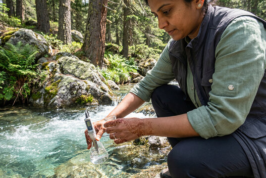 Woman testing water quality by stream in forest for World Water Day  