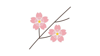 Pink Cherry Blossoms on Branch Isolated on White Background