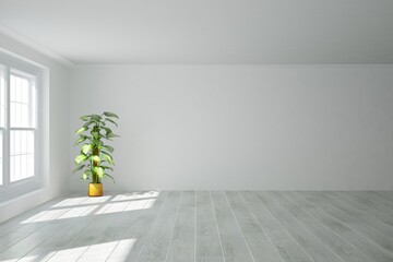 modern empty bright room with beautiful plant in flowerpot interior design. 3D illustration