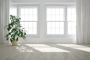 modern room with curtains and plant in flowerpot interior design. 3D illustration