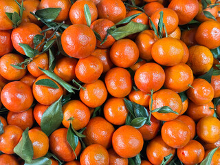 Close up of many fresh tangerines with green leaves. Juicy citrus fruit in bulk, healthy eating concept.