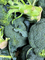 Fresh broccoli florets top close up shot for healthy eating and cooking ingredient. Green vegetable concept macro view.