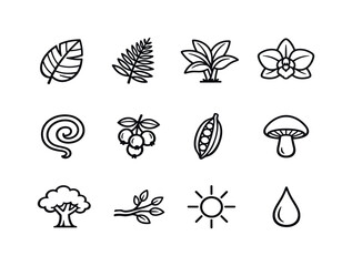 Obraz premium Jungle Flora Icons. Jungle flora. Line icon set of Jungle flora: large leaf, fern, tropical plant, orchid flower, vine spiral, fruit cluster, seed pod,