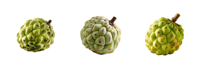 Fototapeta premium Sugar apple fruit collection isolated on transparent background PNG set with isolated on transparent background