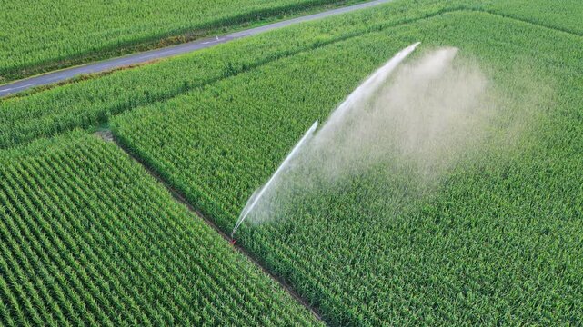 AERIAL of Water wasting with a sprinkler machine, Corn monoculture in France in summer.