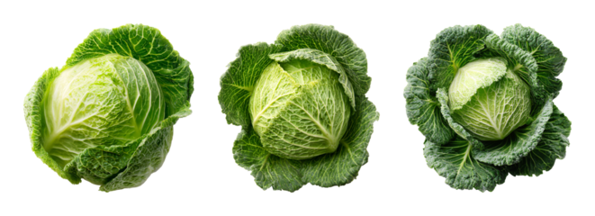 Fresh green cabbage collection isolated PNG set with isolated on transparent background