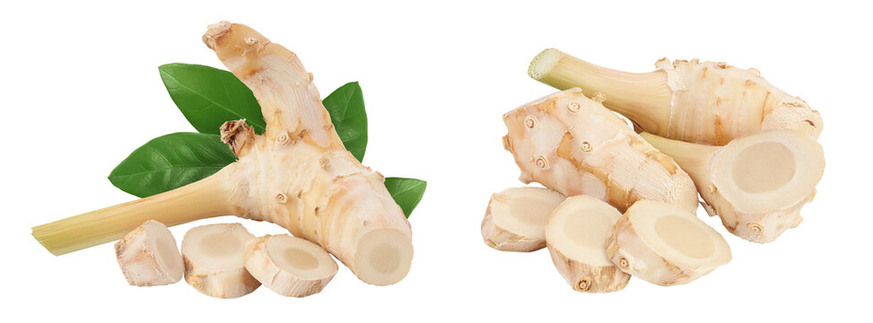 Fresh galangal root with slices isolated on white background with  full depth of field.