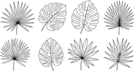A collection of hand drawn black outline tropical leaves including monstera and palm © Rajna