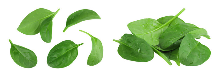 Baby spinach leaves isolated on white background. Top view. Flat lay