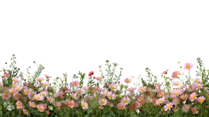 spring flowers border