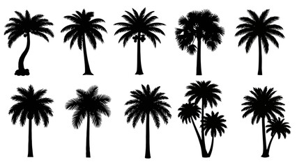 Fototapeta premium Tropical Palm Tree Silhouettes Collection: Black Vector Set for Summer and Beach Designs