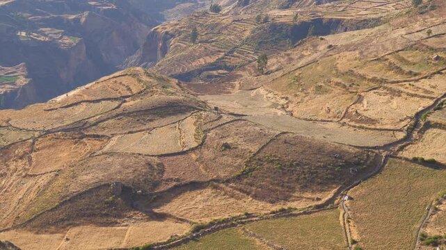 Fields on terraces on the slopes of the Colca Canyon