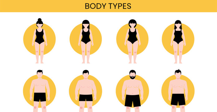 Male Types Chart Male Body Types Images – Browse 11,277 Stock Photos, Vectors, and Video ...