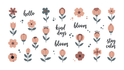 Blooming Inspiration: A collection of charming floral illustrations is presented, each design reflecting nature's beauty and the art of positivity with an array of text design.