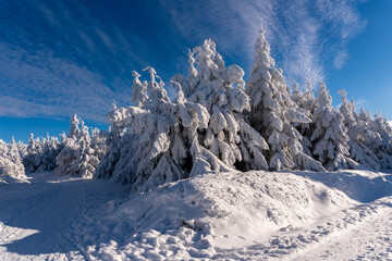 Winter landscape in mountains, snowcapped and frozen trees