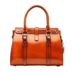 cutout of an isolated luxurious leather handbag with the
