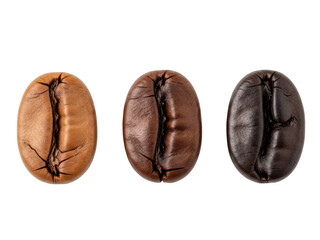 Fototapeta premium Three coffee beans in various stages of roasting isolated on transparent background