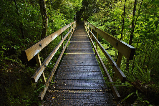 The Buller river flowing through the forest covered upper Buller Gorge near the longest suspension bridge in NZ