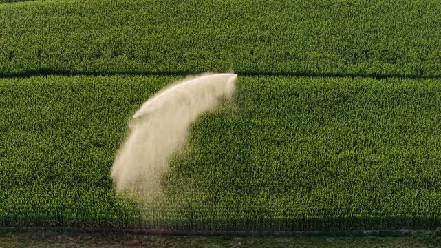 Industrial irrigation of a cornfield. Water waste on corn monoculture in France in summer.