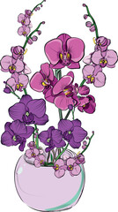 Phalaenopsis orchid arrangement in vase illustration