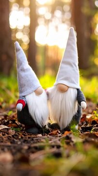 Two felted gnomes with long white beards standing in a forest, holding hands on foliage, soft lighting and blurred background