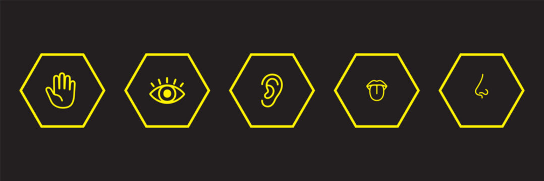 Human senses icon set. Vision eye, smell nose, hearing ear, touch hand, taste mouth with tongue. Simple line icons in black. Five senses of human nervous system