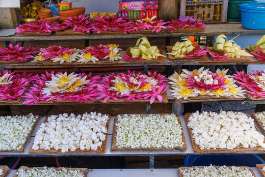 Lotus and Water Lily Flowers for Sale Near the Temple of the Sacred Tooth Relic (Sri Dalada Maligawa), Kandy, Sri Lanka