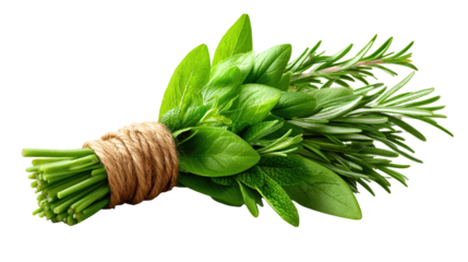 Fresh green leaves two bunches of vibrant fresh green leaves showcasing natural foliage and plant life