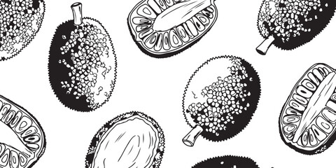 Hand-drawn illustration of a jackfruit and its slices on a white background