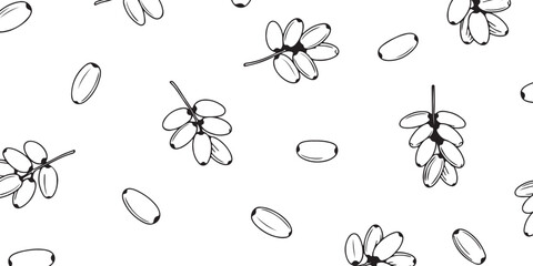 Seamless pattern of ripe dates, perfect for culinary designs and healthy lifestyle graphics