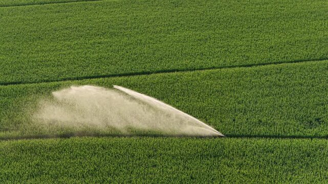 Water wasting with a sprinkler machine, maize monoculture in France in summer.