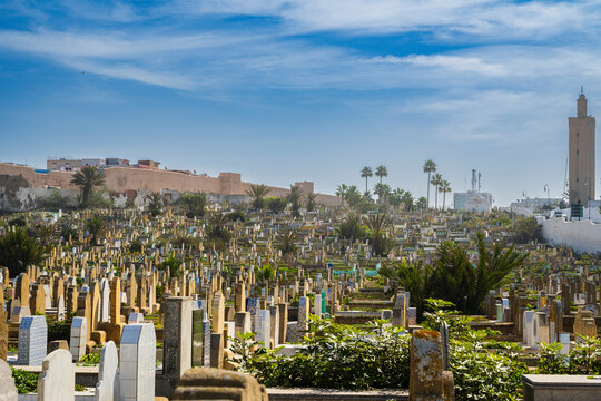 Expansive cemetery with diverse tombstones under a clear blue sky, surrounded by palm trees. Rabat, Morocco