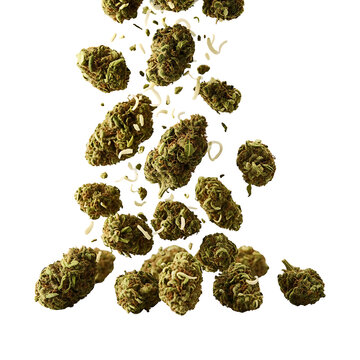 Falling dried cannabis buds, representing wellness and medical use isolated on transparent background