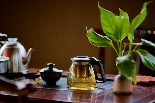 A teapot and lush green plant on a wooden table, bathed in soft natural light. Li River, Li Jiang, Guangxi, China