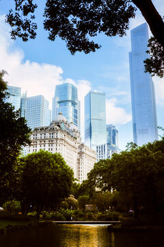 View of city skyscrapers framed by lush green trees and a tranquil pond in the foreground. Guangzhou, Guangdong, China