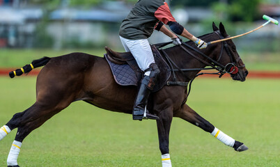 A polo player leans forward on a galloping horse, swinging a mallet in mid-play during an intense outdoor polo match on a green grass field.