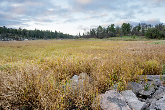 Lush grassy field with stones under a bright sky, bordered by a forested area. Thunder Bay, Ontario, Canada