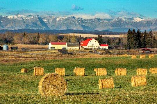 A rural landscape with hay bales, a farmhouse, and mountains in the background under a blue sky. West of Calgary, Canada