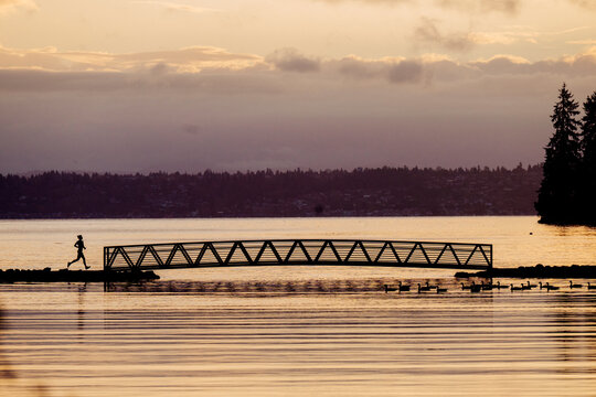 Silhouette of a person running beside a lake at sunset with ducks swimming nearby. Bainbridge Island, WA, USA