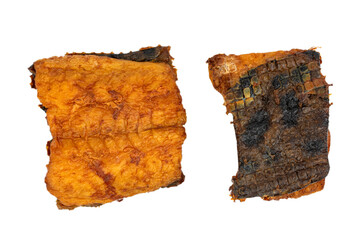 the smoked filet of Atlantic wolffish 