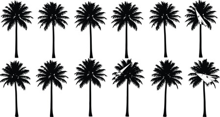 Tropical palm tree silhouette collection of exotic coconut plants for summer beach vacation travel themes and island landscape design isolated on white background for projects. © Aduri