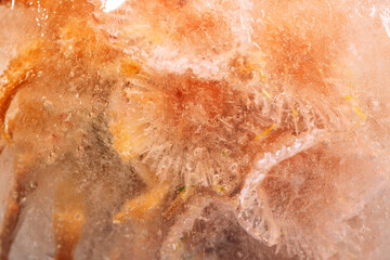 Abstract frozen flower texture inside ice, macro background. High quality photo